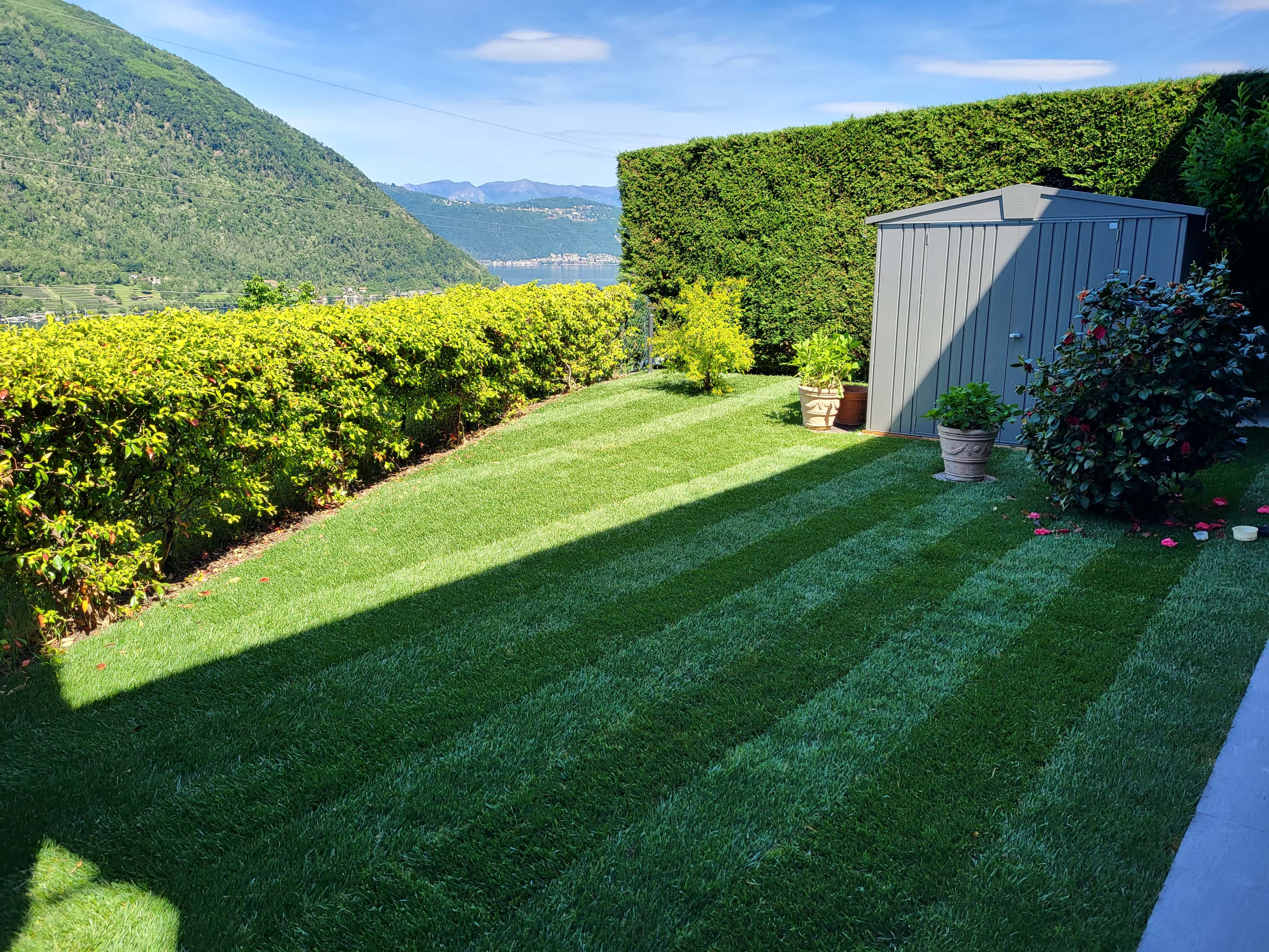 Foto 1 della sezione Prati