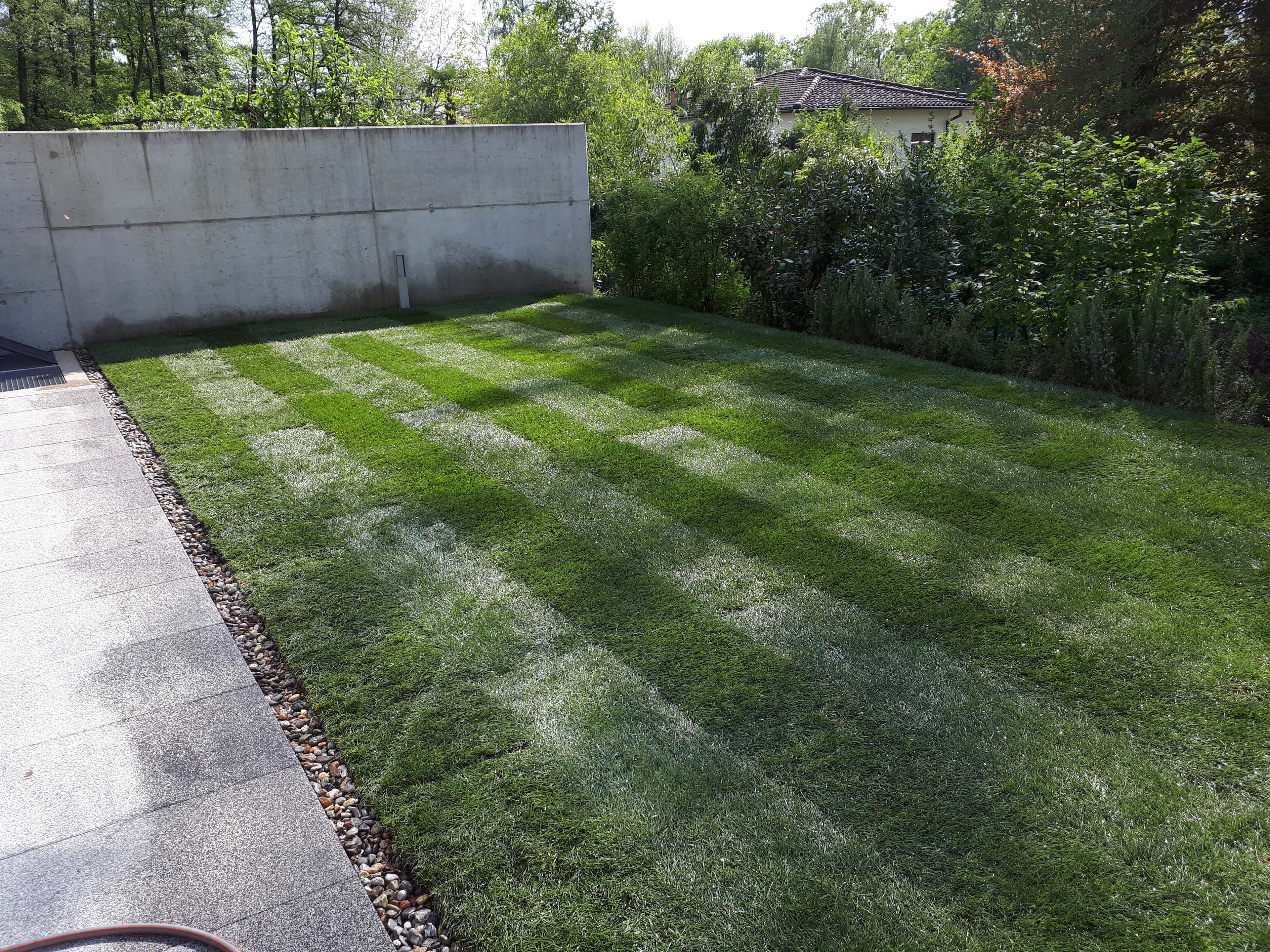 Foto 2 della sezione Prati