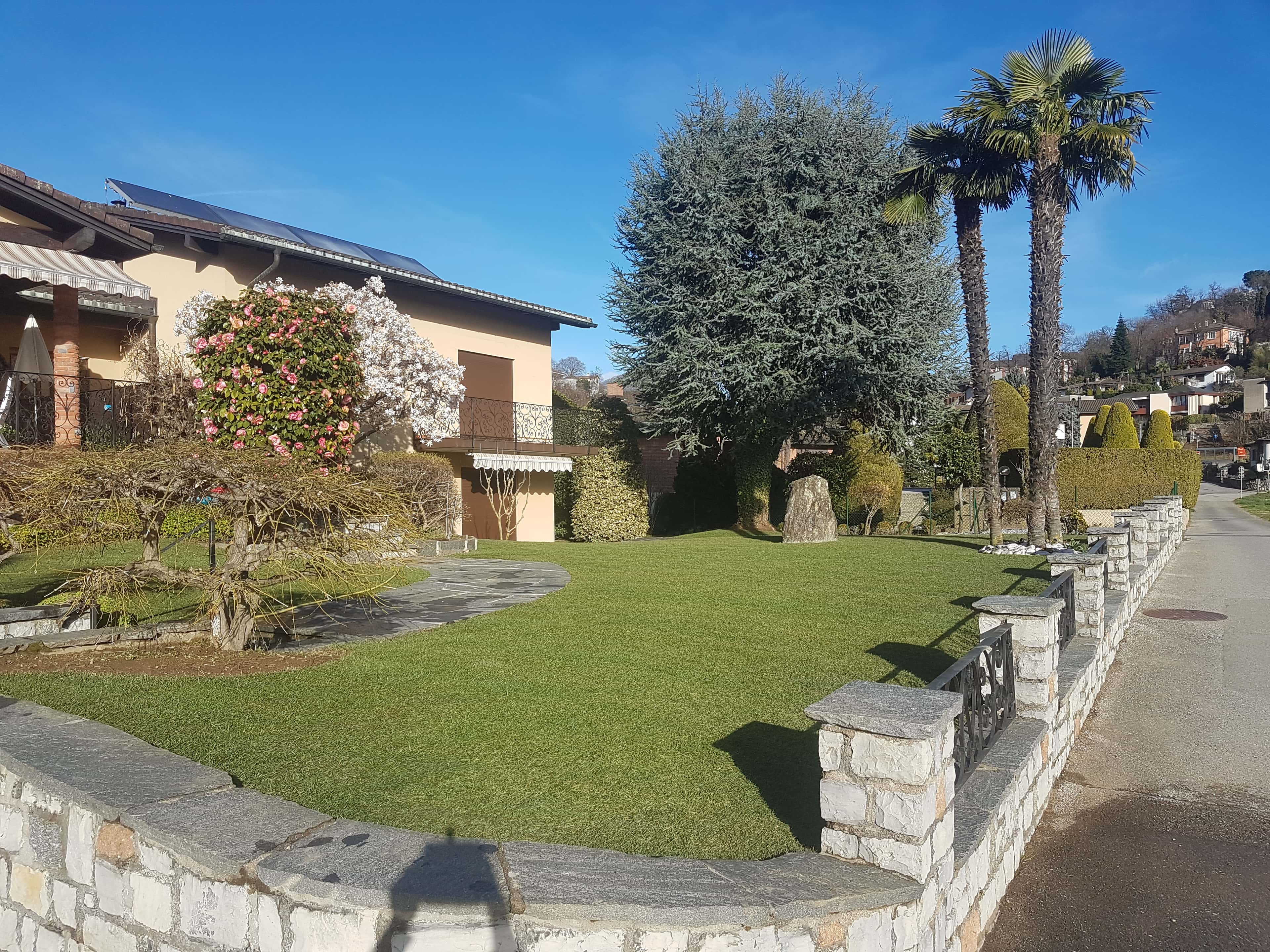 Foto 3 della sezione Prati