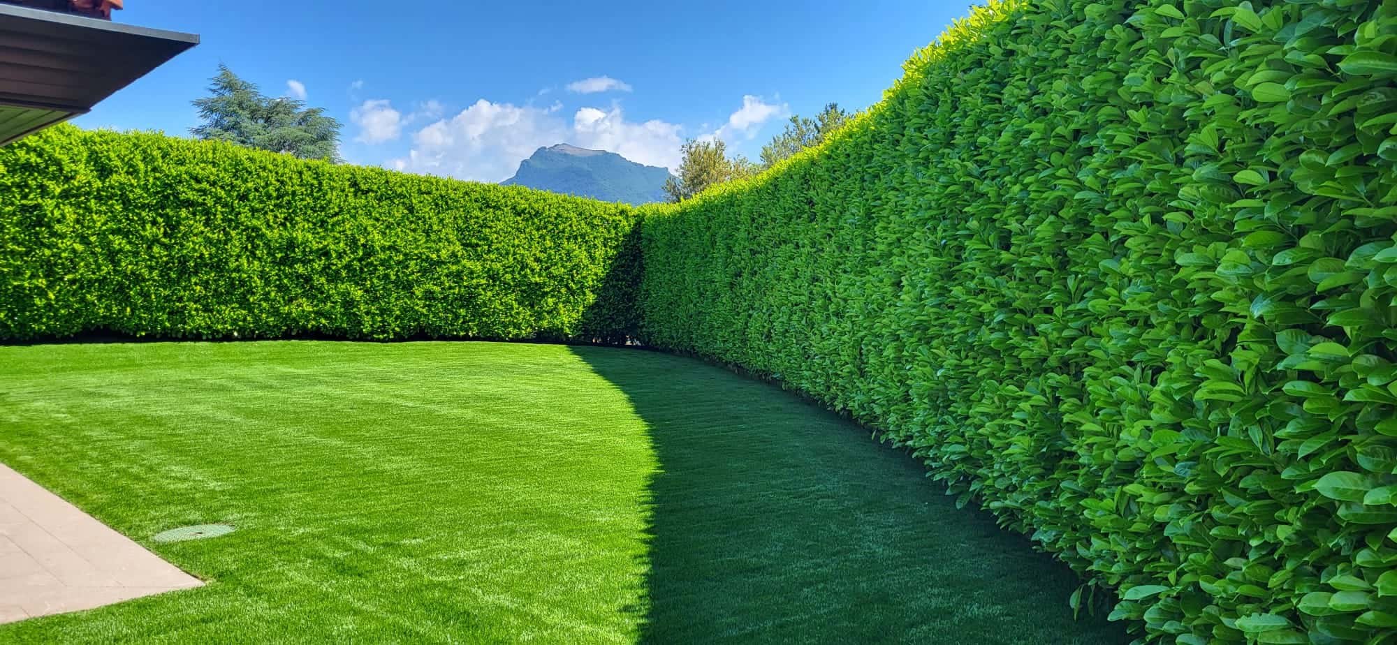 Foto 4 della sezione Prati