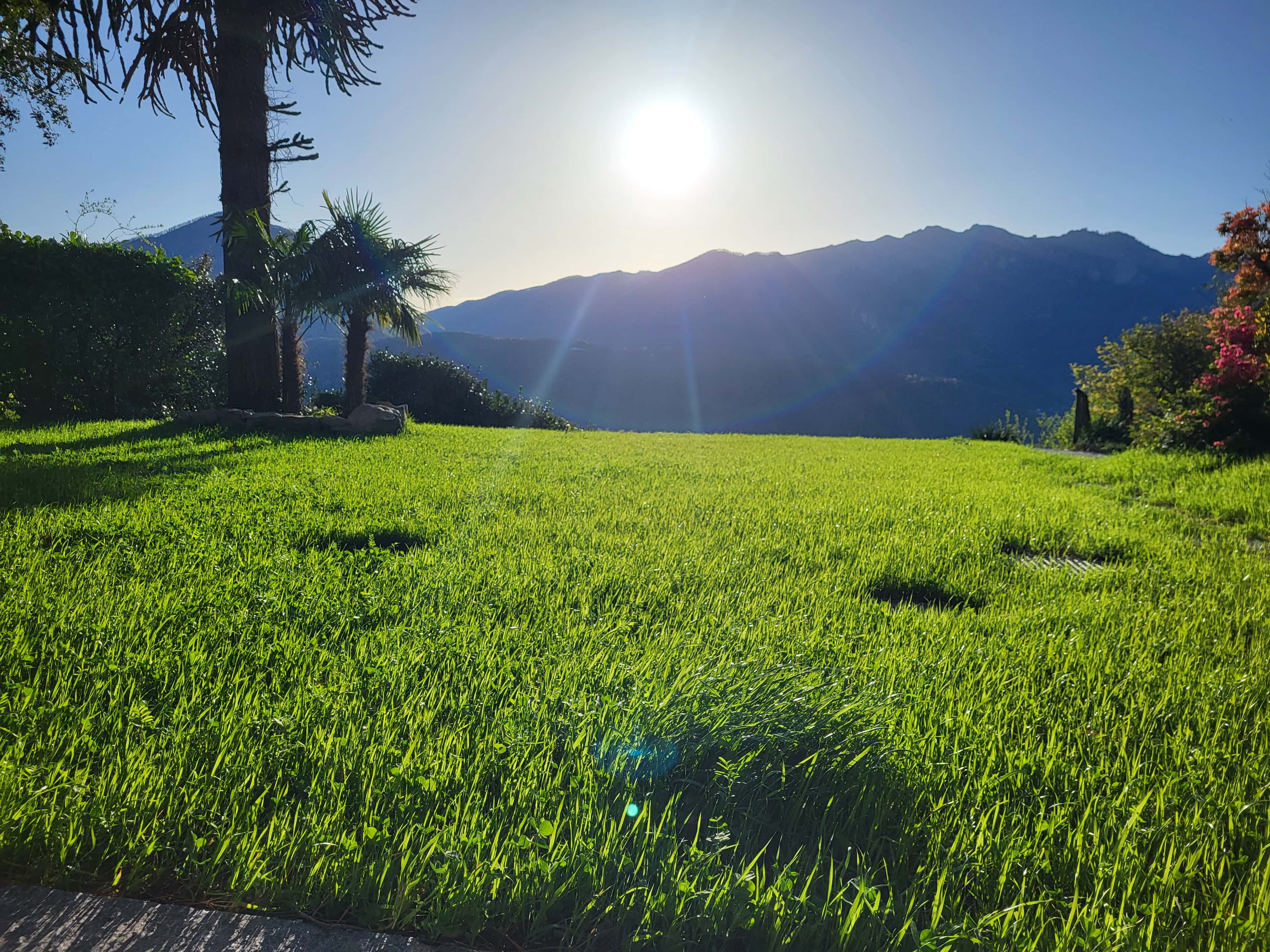 Foto 5 della sezione Prati