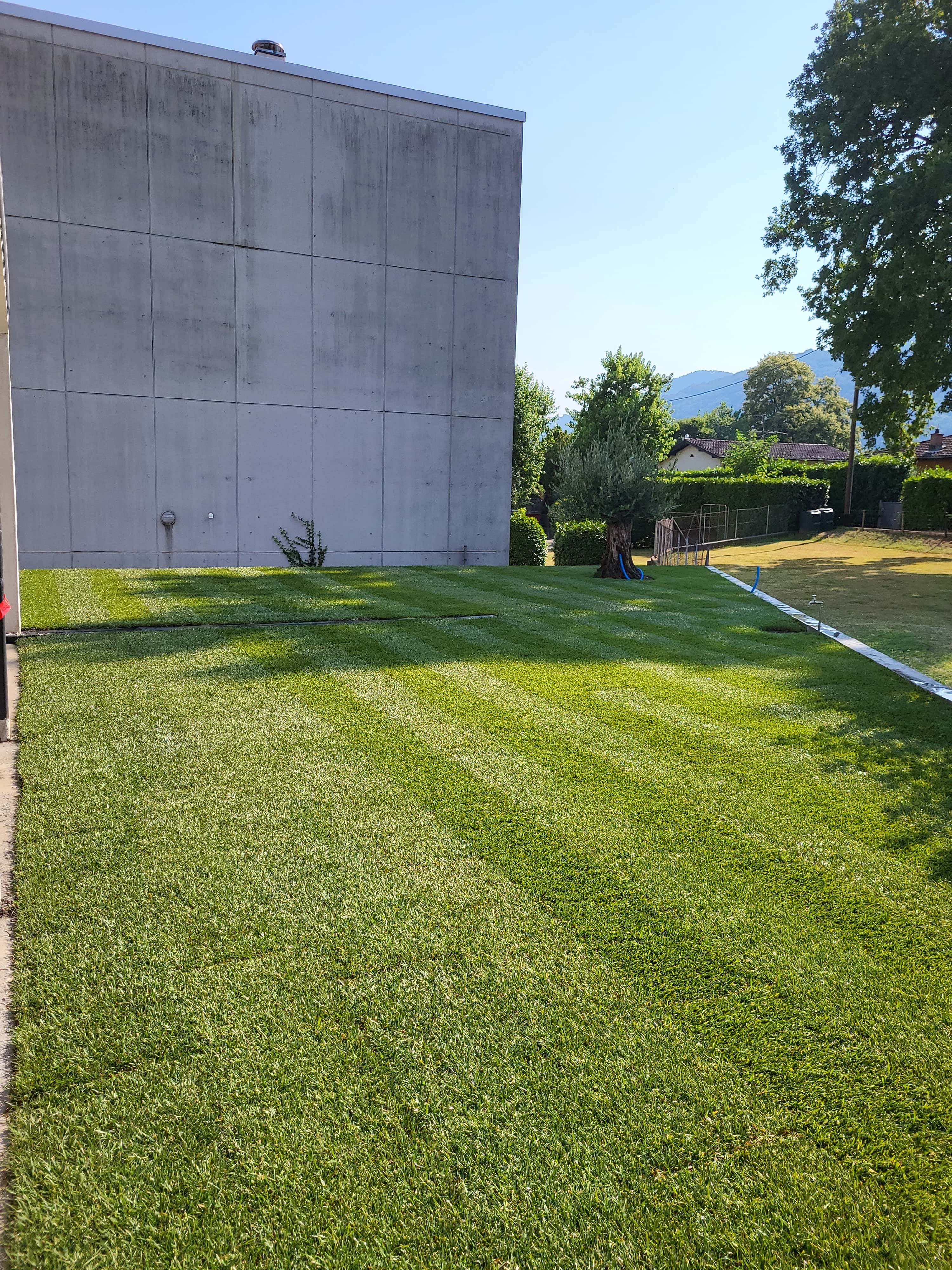 Foto 6 della sezione Prati